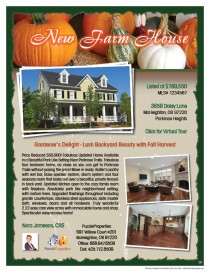 Pumpkin Flyer Design