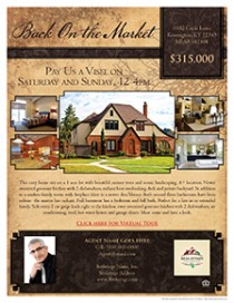 Real Estate Flyer Image